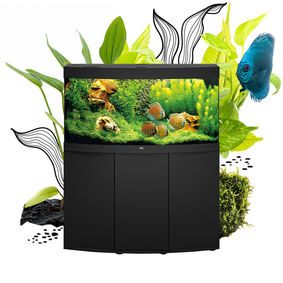 betekenis ondergeschikt Volg ons Vision 180 LED | JUWEL Aquarium