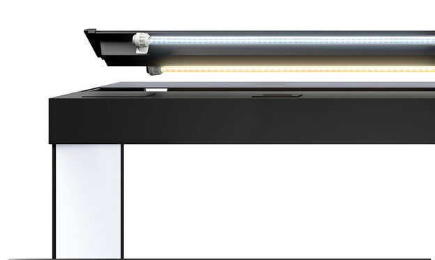 Vision 180 LED | JUWEL Aquarium