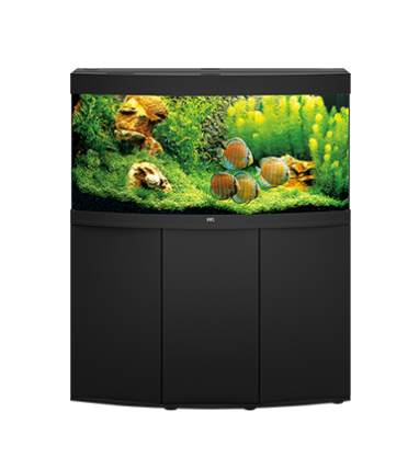 Aquarium Juwel Lido 200 avec éclairage LED, pompe, filtre, chauffage sans  meuble bas gris - HORNBACH