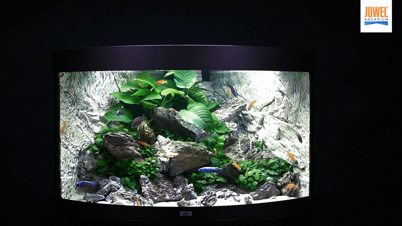 Juwel Juwel Rio 350 Fish Tank and Stand In Oak Finish 