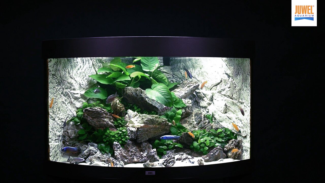 Ud nøgen Sindsro Lido 120 LED | JUWEL Aquarium