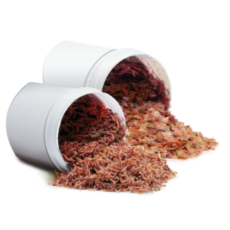 Juwel auto sales fish feeder