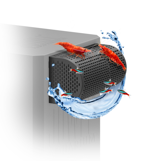 FilterGrid JUWEL Aquarium
