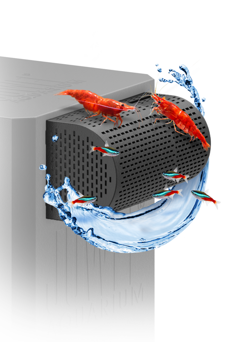 FilterGitter JUWEL Aquarium