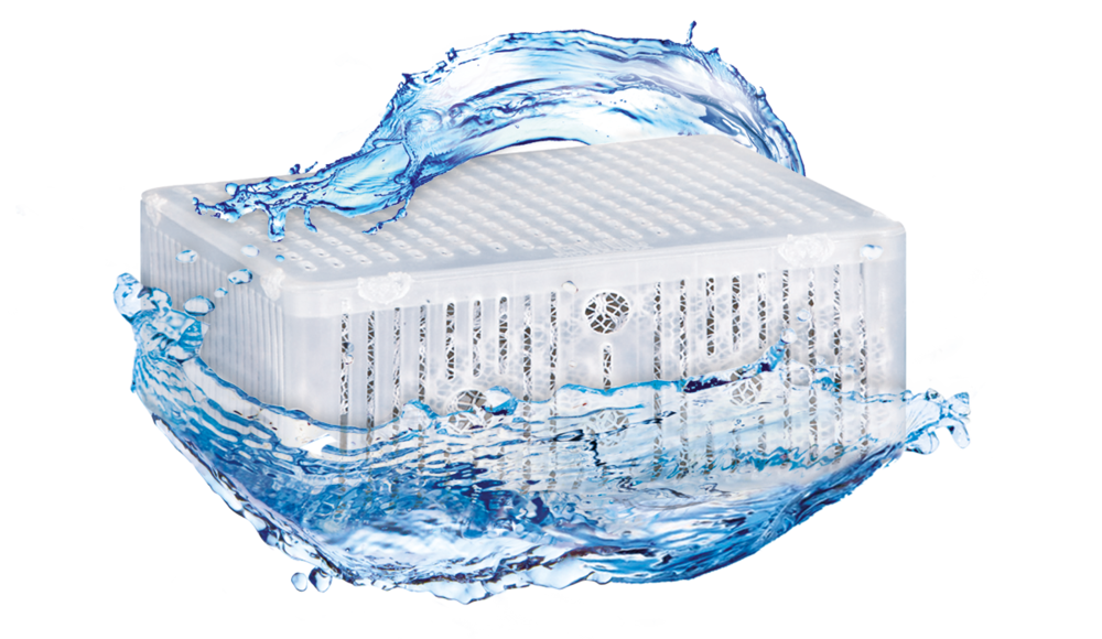 Phorax JUWEL Aquarium