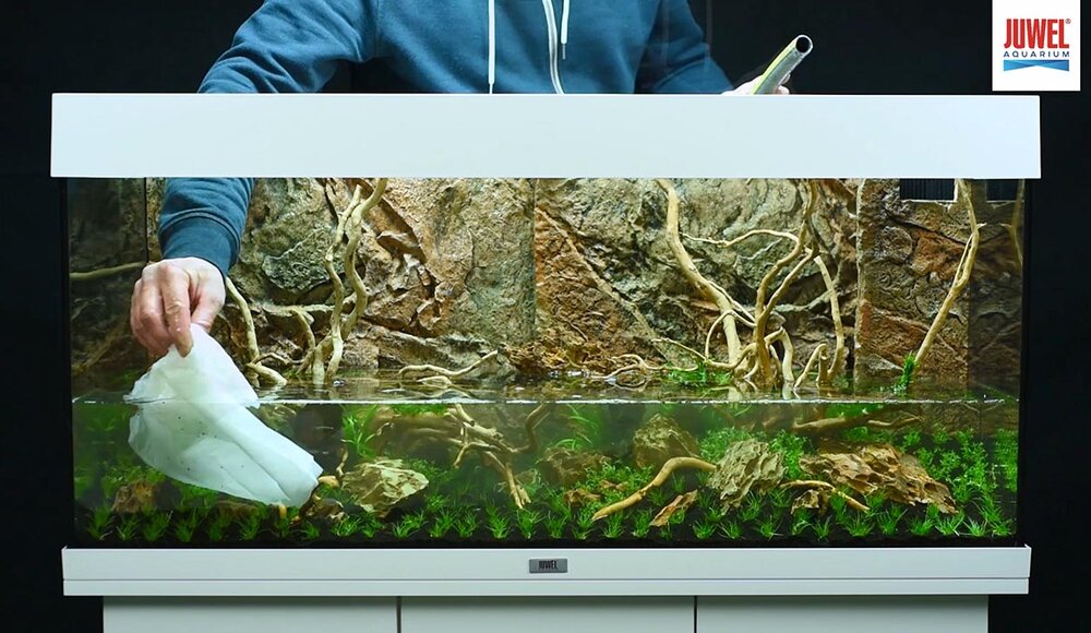 setup1 JUWEL Aquarium