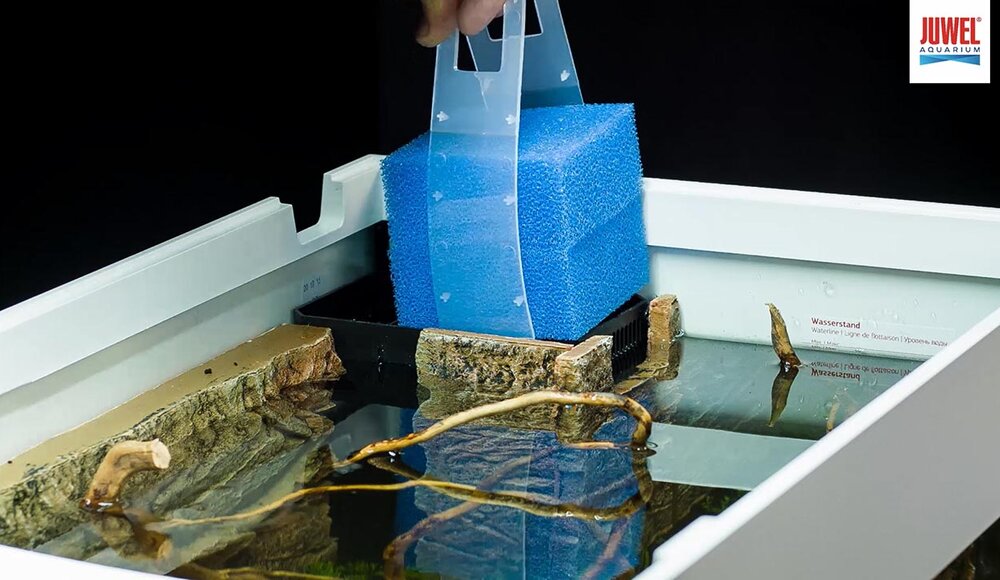 setup1 JUWEL Aquarium
