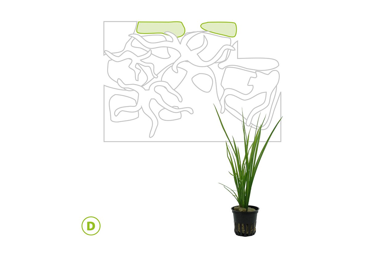 setup10 JUWEL Aquarium