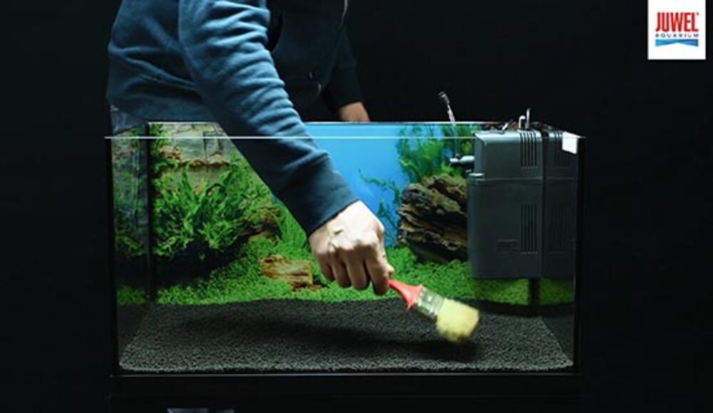 setup5 JUWEL Aquarium
