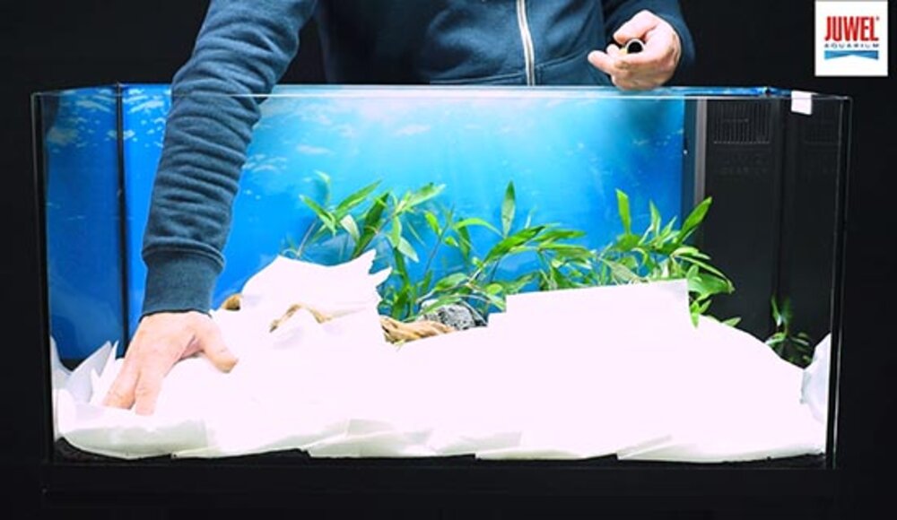 setup7 JUWEL Aquarium