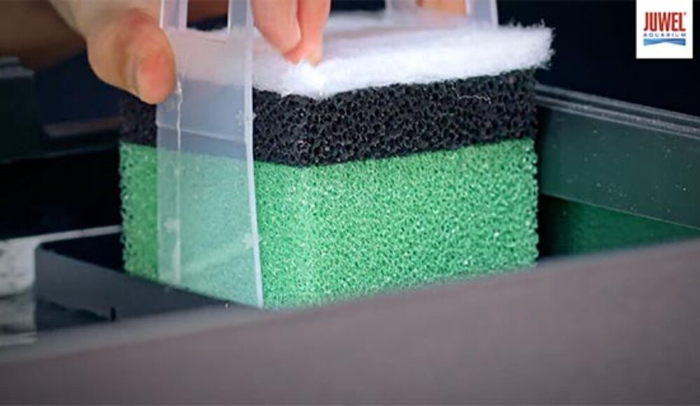 setup9 JUWEL Aquarium